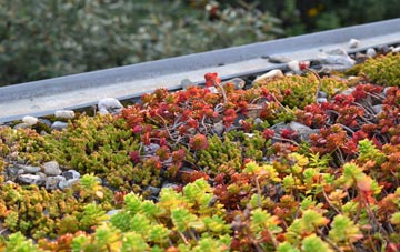 the cost of Shefford green roof installation