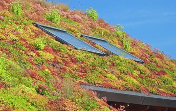 Shefford living roof systems