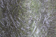 Shefford fibreglass roof work